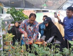 Wali Kota Makassar Sebut Potensi Lorong Haderslave Besar, Minta Kekompakan Camat dan Lurah