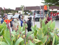 Tata Taman Kota, Fatmawati Rusdi Lakukan Peninjauan Langsung