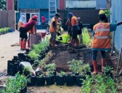 Jelang Hari Otonomi Daerah, DP2 Makassar Lakukan Penataan Tanaman Di Lorong Wisata