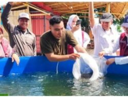 Harapkan Budidaya Ikan Semakin Meningkat, DP2 Makassar Serahkan Bantuan Sarana Produksi Budidaya Perikanan