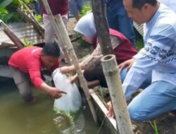 DP2 Kota Makassar Serahkan Bantuan Pakan Ikan Lele Dan Nila Ke Pokdakan Di Kecamatan Rappocini