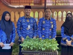 Kecamatan Bontoala Terima Bantuan Bibit Cabe Dari Kementerian Pertanian