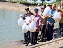 Danny Pomanto Lepas Puluhan Ribu Benih Ikan Air Tawar di Waduk Nipa-Nipa