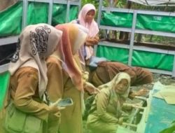 DP2 Kota Makassar Melakukan Monitoring Dan Pembinaan Budidaya Ikan Air Tawar Di Kecamatan Panakukang