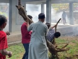 Disperkim Kota Makassar Laksanakan Kerja Bakti Bersama Warga Rusunawa Lette